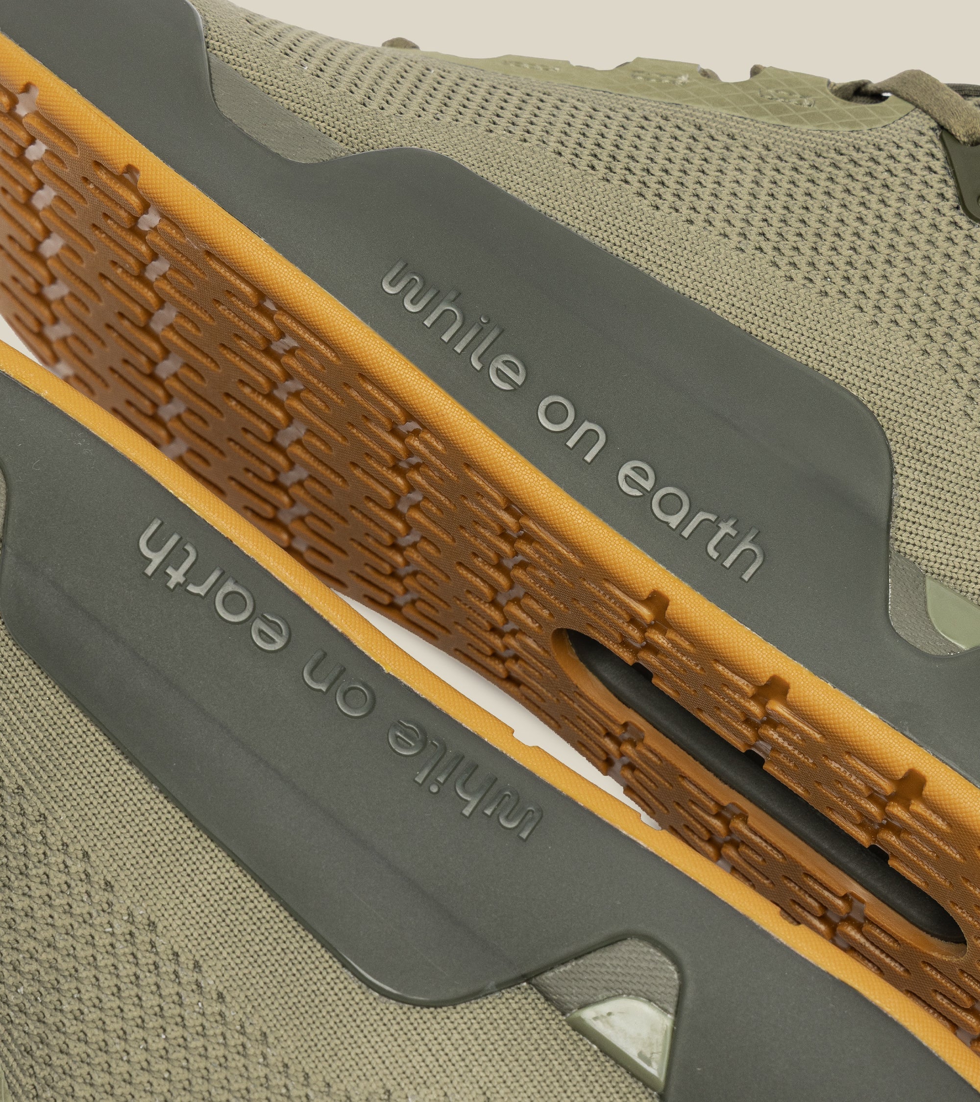 move trainer forest / char