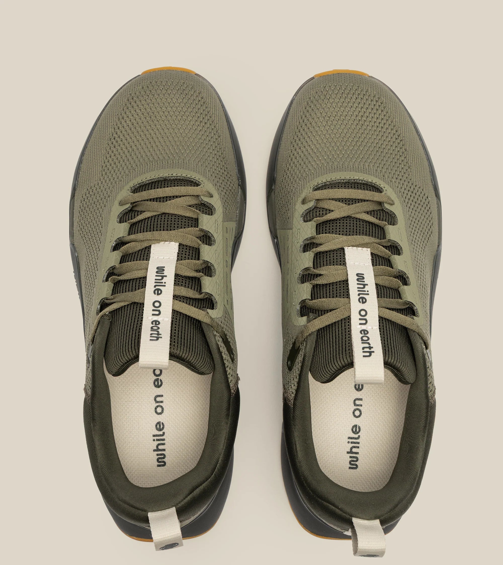 move trainer forest / char