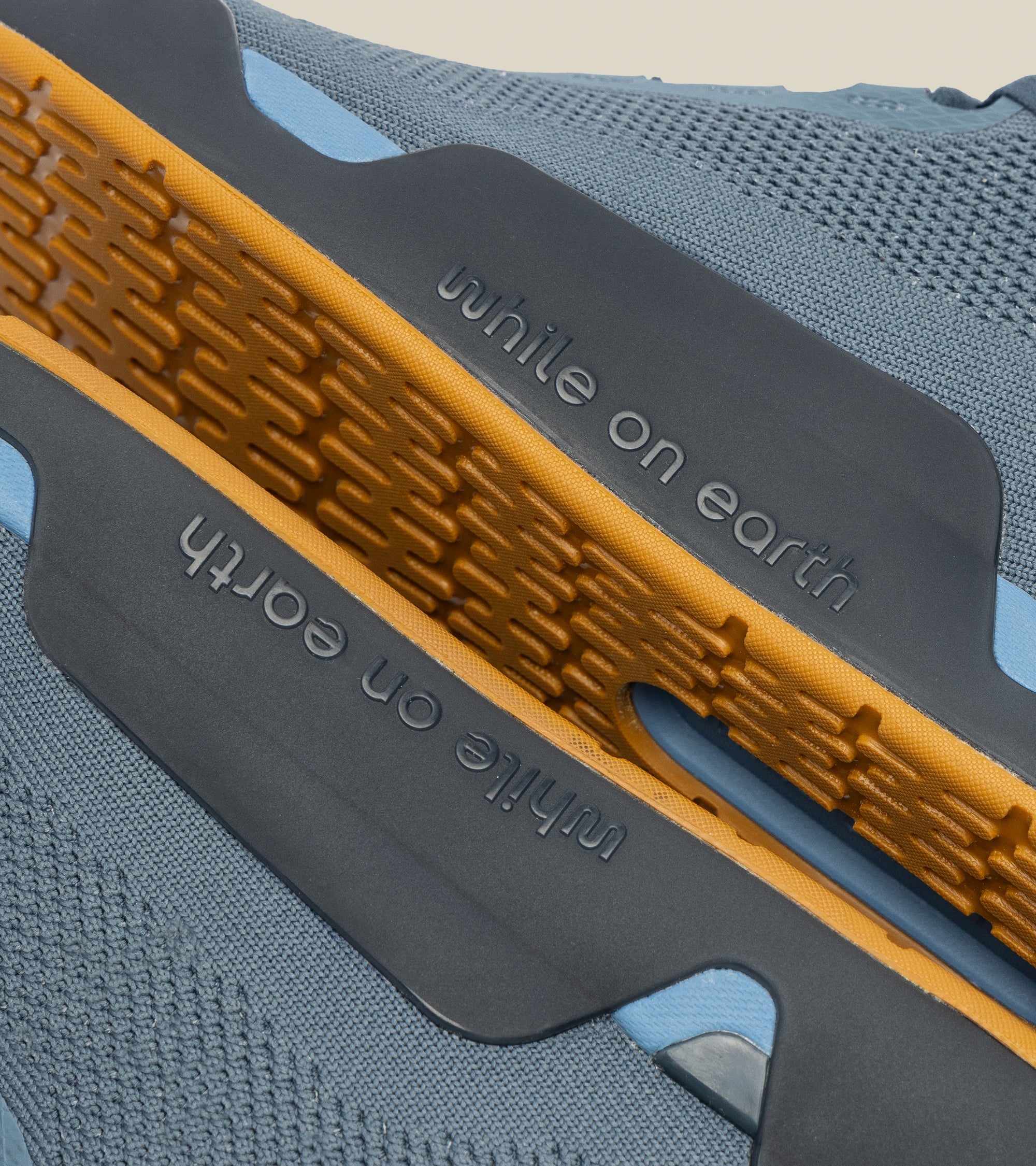 move trainer Swell / Midnight